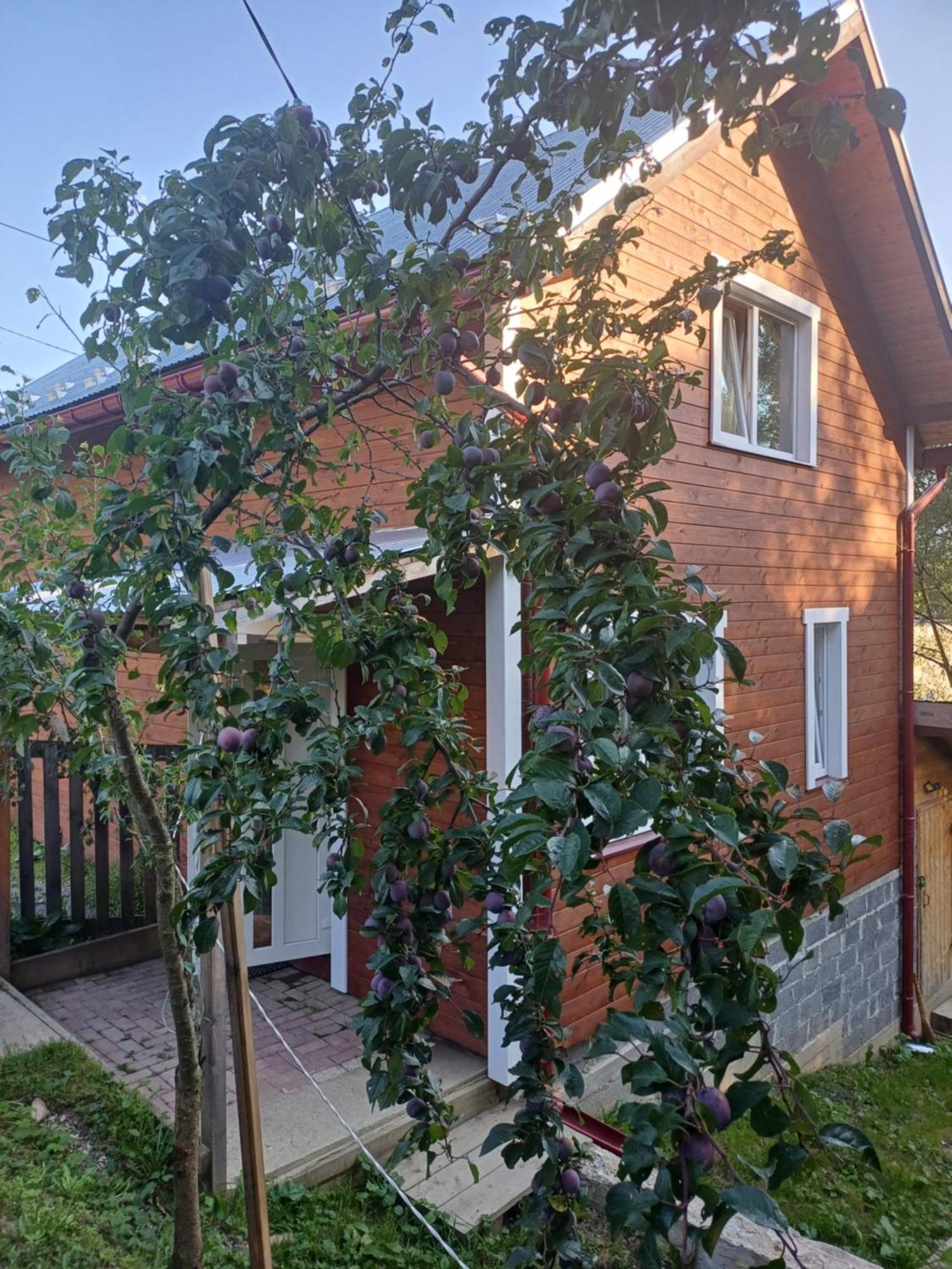 Карпатський Котедж Karpatian Cottage Vorokhta Exterior photo